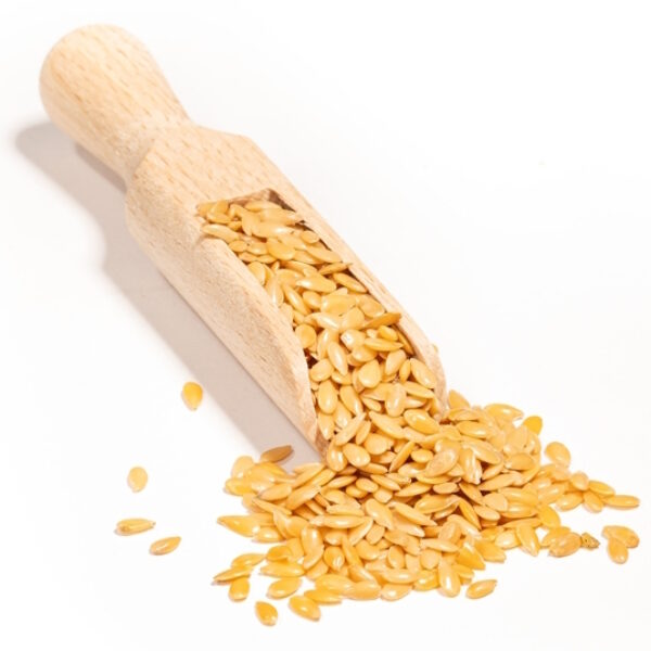 Siemię lniane złote