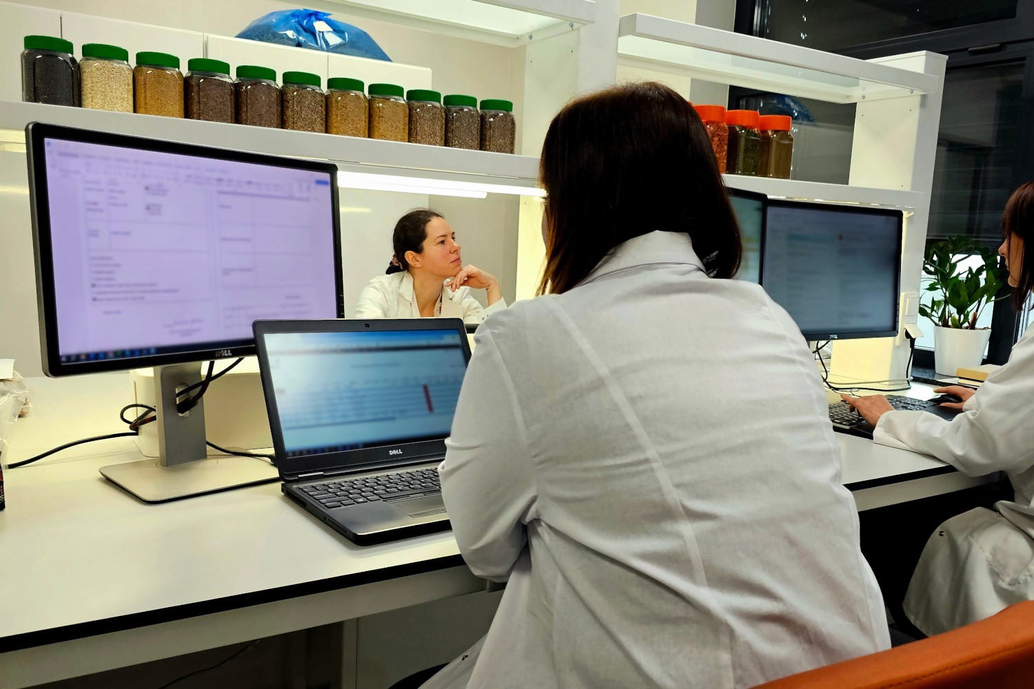 wyspecjalizowany-zespol2